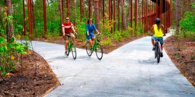 Fietsen door de bomen