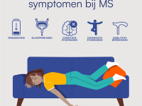 IMSS 11