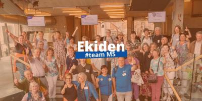 teamMS